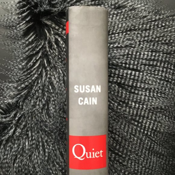 'Quiet: The Power of Introverts in a World That Can't Stop Talking' - Picture 6 of 6